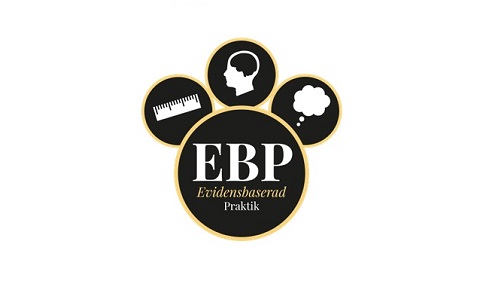 Evidensbaserad Praktik